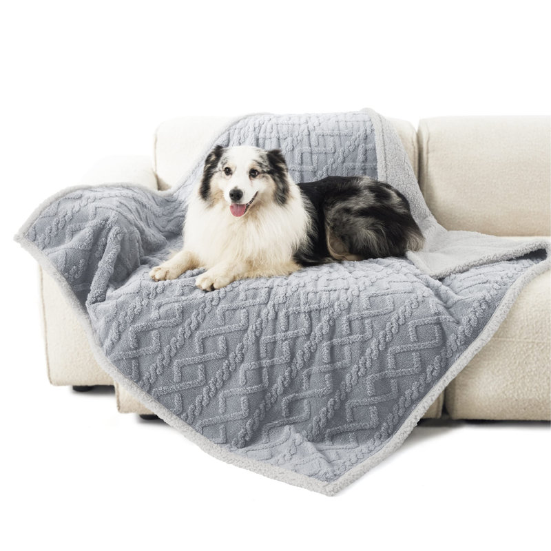 Pet Blanket