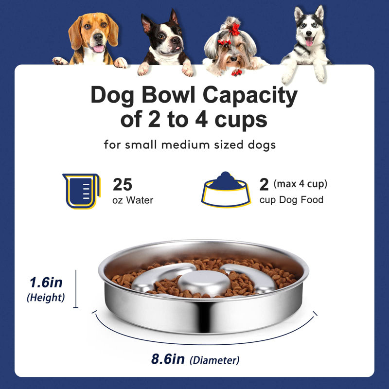 Bol à nourriture pour chien Slow