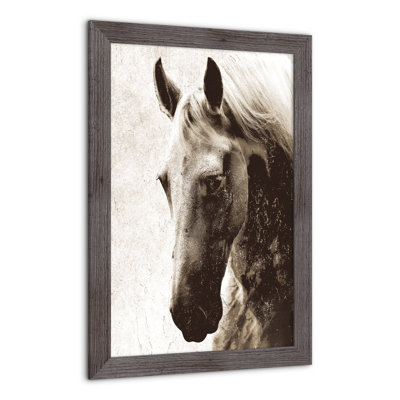 Cheval sépia, reproduction encadrée