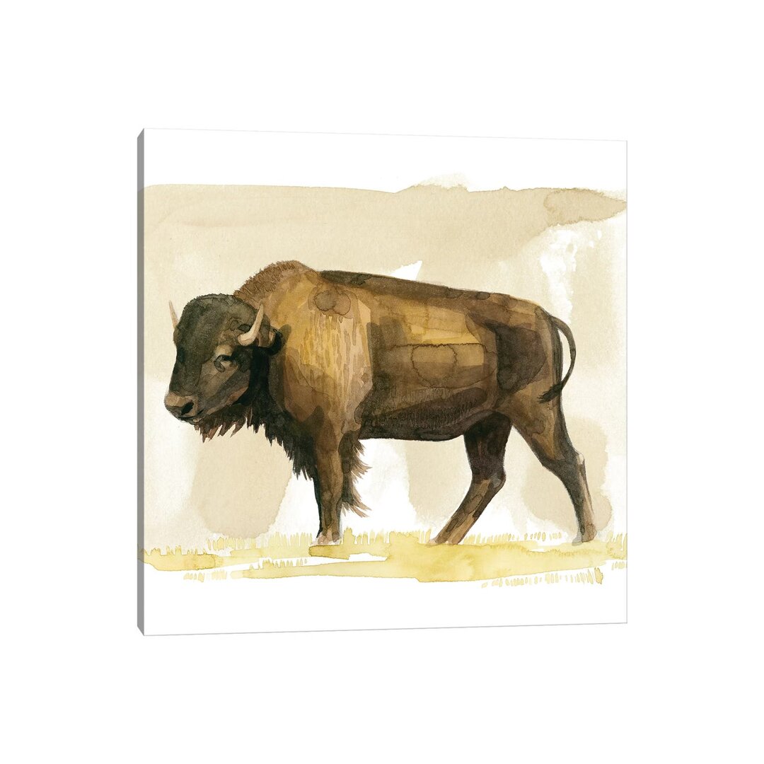 Bison Aquarell Skizze II