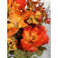 24 arbustes mixtes-640605308