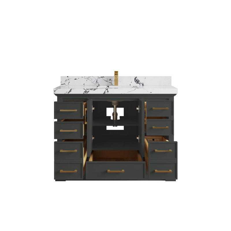 Charlotte 48'' Single Bathroom Vanity with Top, Viola Night