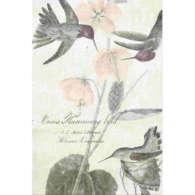 Doux colibris I