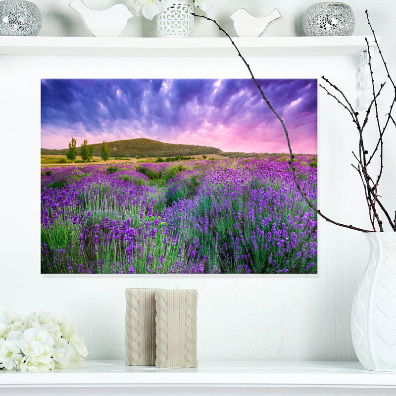 «Summer Lavender Field in Tihany Modern Landscape», reproduction de photo sur toile, H 8 po x l 12 po x P 1 po, Toile tendue