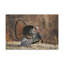 No Frame Print on Canvas
