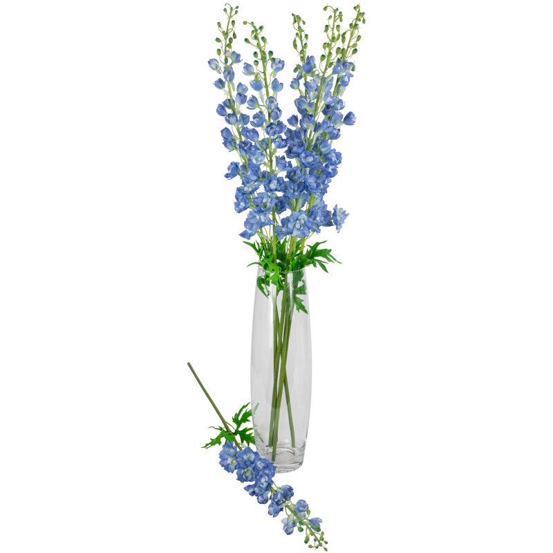 Tiges Delphinium, Bleu