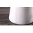 Bittner 62.5'' Chrome Traditional Floor Lamp