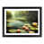 Black Framed selected
