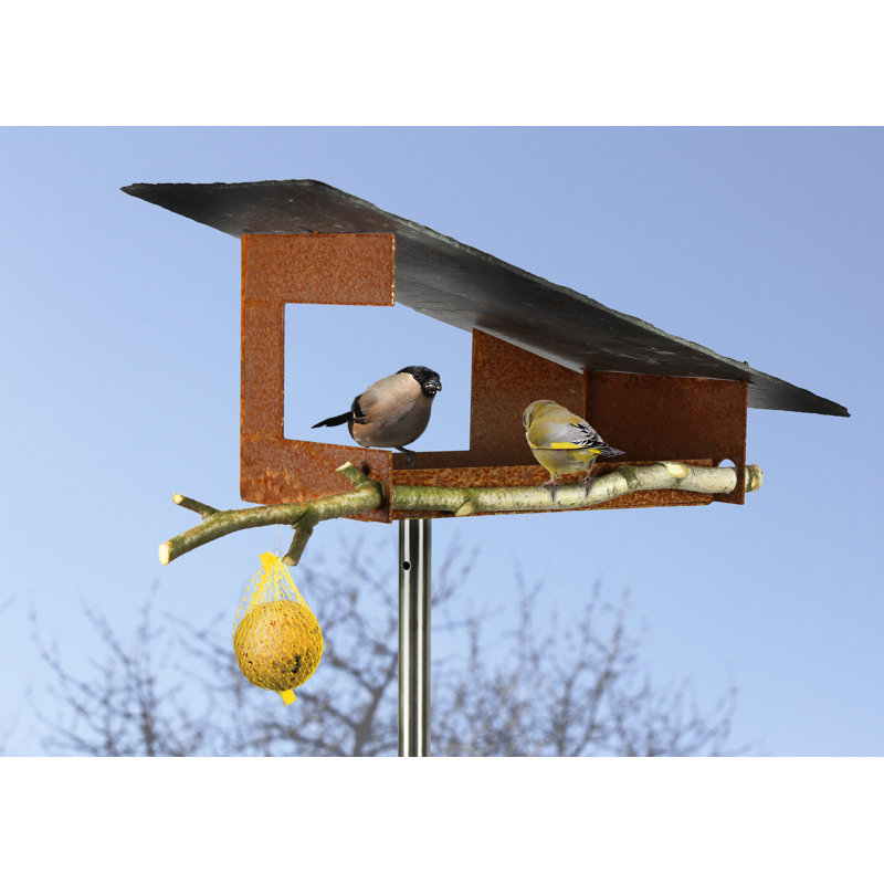 Norred Metal Hanging Tray Bird Feeder
