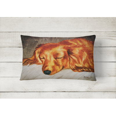 Outdoor Throw Pillow