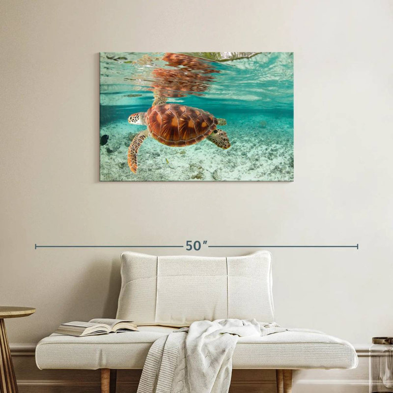 Brampt Bora Bora Sea Turtle, 24" H x 36" W