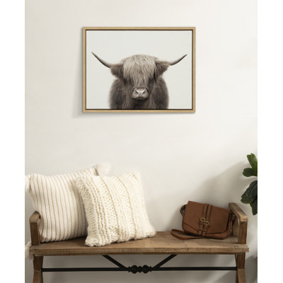Hey Dude Highland Cow Color by The Creative Bunch Studio Framed Canvas Wall Art Print