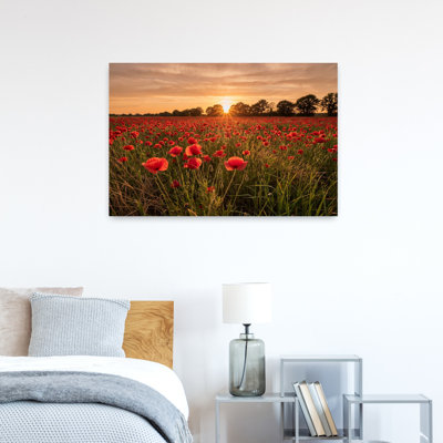 Coucher de soleil sur fond de coquelicots, paisible, serein, vibrant, coquelicot, paysage, art mural