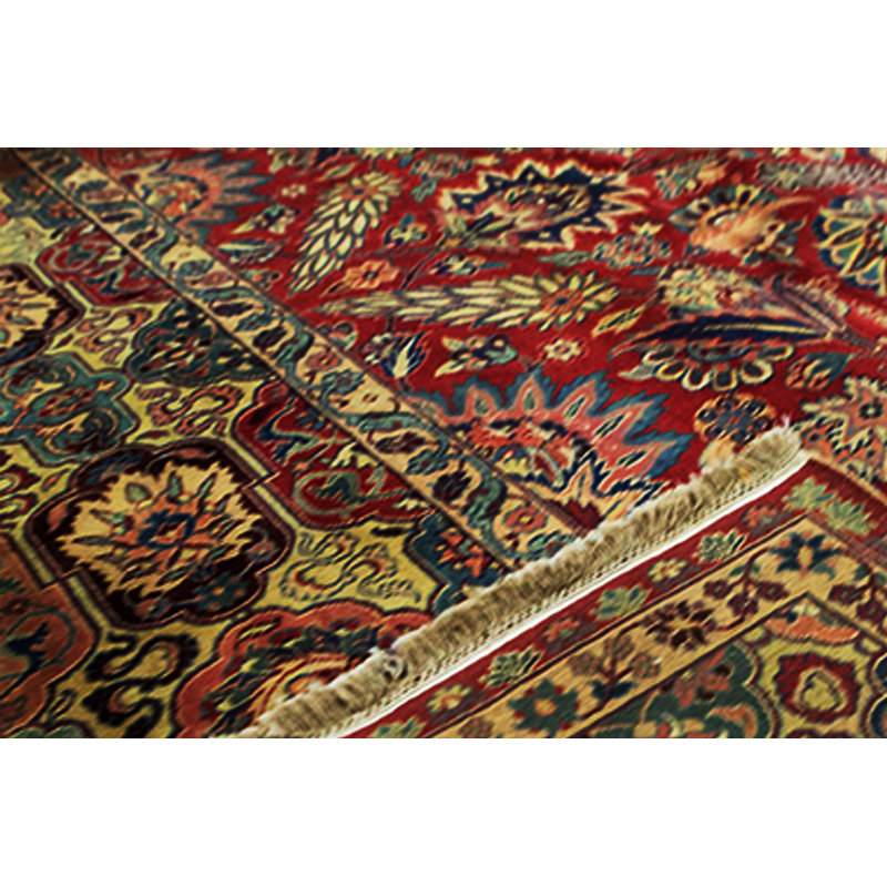 Wool Oriental Area Rug