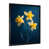 Black Picture Framed