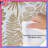 Intricate Line Botanical Comforter-124111640