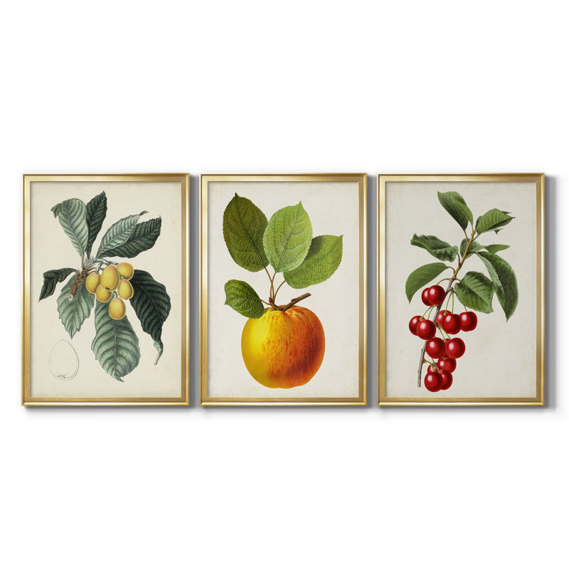 Antique Foliage & Fruit VI - Toile tendue avec châssis sur mesure - 3 pièces, H 21 po x l 30 po, Doré
