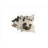 Chocolat/Blanc Et Or
