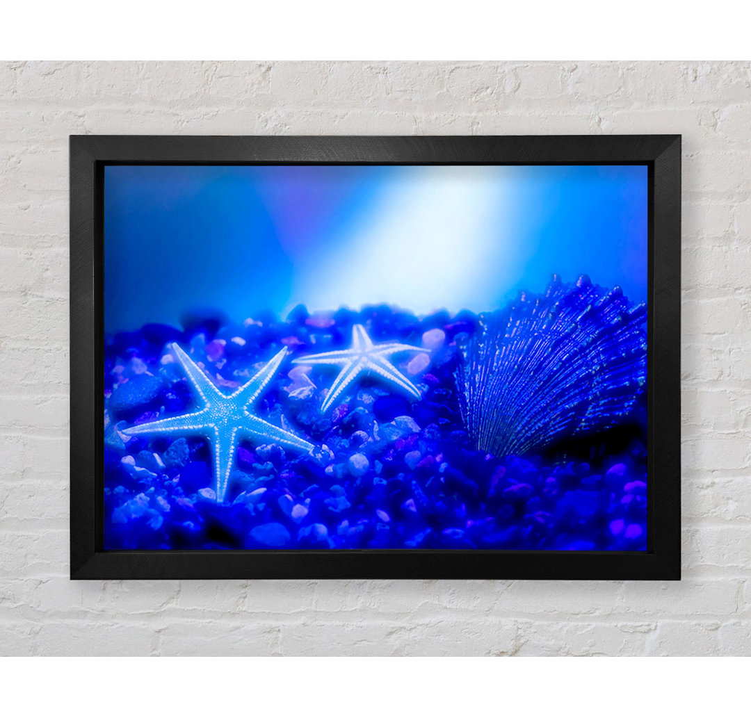 Gerahmtes Leinwandbild Stunning Blue Starfish