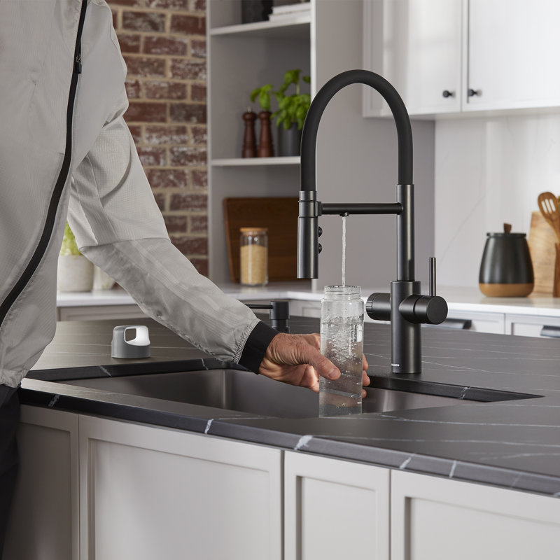 Catris Flexo Filter-Ready Semi-Pro Pull-Down Dual-Spray Kitchen Faucet - Matte Black, Matte Black