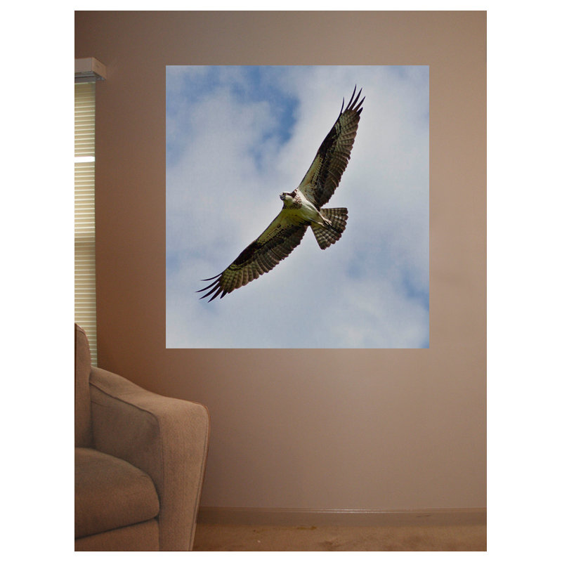 Non-Wall Damaging Wall Decal, 44.5" H x 48" W