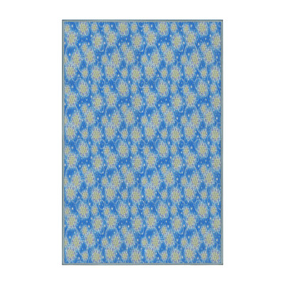 Indoor Rug