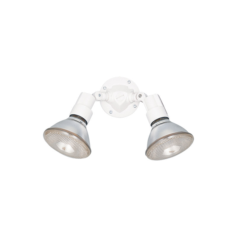 Two Light Adjustable Swivel Flood Light from Generation Lighting , White