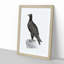 Mountain Eagle Illustration - Framed Print-55617673-55617675