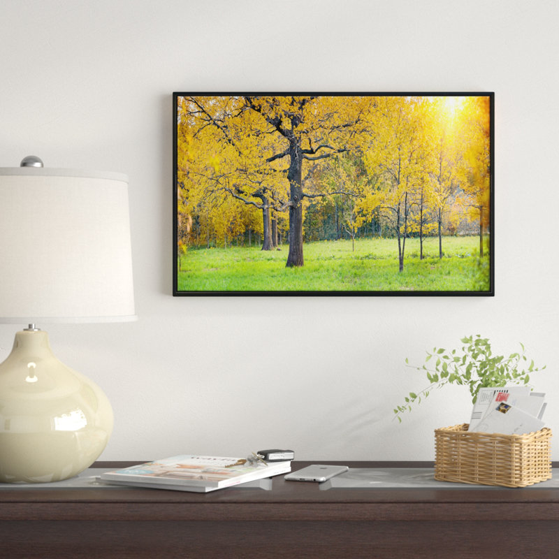 " Sunny Park With Oak Panorama ", 16" H x 32" W x 1" D, Wrapped Canvas