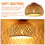 1 - Light Chandelier