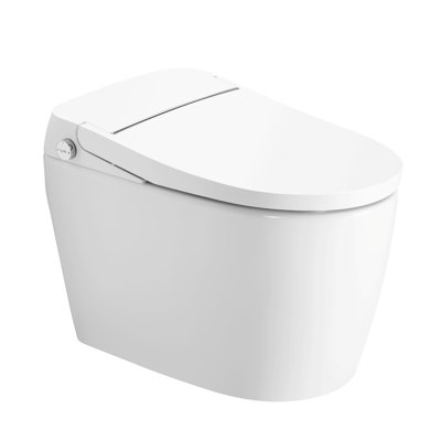 Basic Smart Toilet Tankless Auto-Open Flushing Foot Sensor Soft Closing Seat White (No Bidet Function)