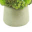 Rizal Faux Succulent in Fiberstone Pot-1299653788