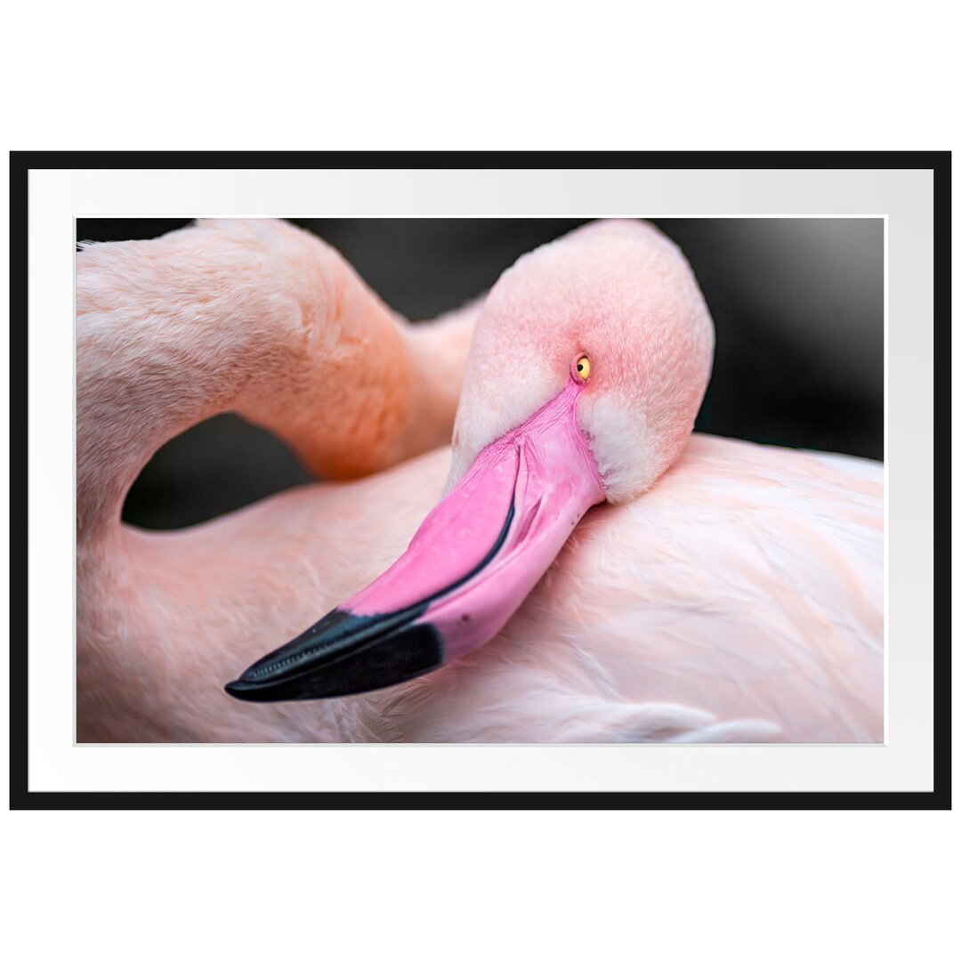 Gerahmtes Poster Eleganter Flamingo