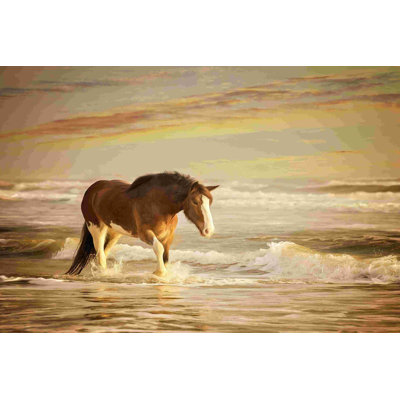 Chevaux en soleil V