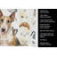 Serviette de cuisine miniature tricolore Bull Terrier-1234934460