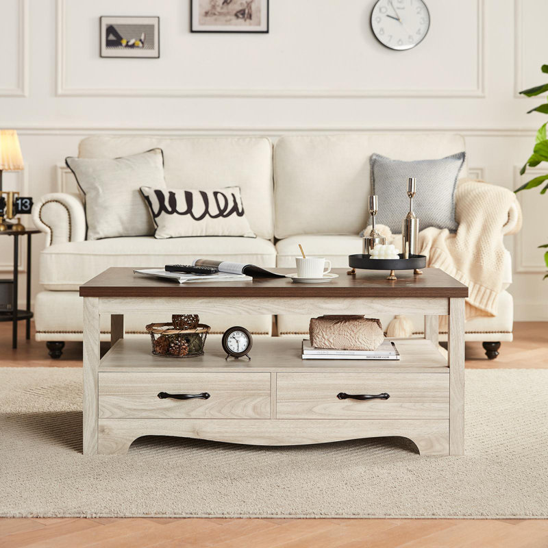 Table basse avec rangement Hulett, Brun / Blanc