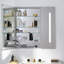 AiO Surface Mount Framed Medicine Cabinet with 3 Adjustable Shelves-65545445-65545444