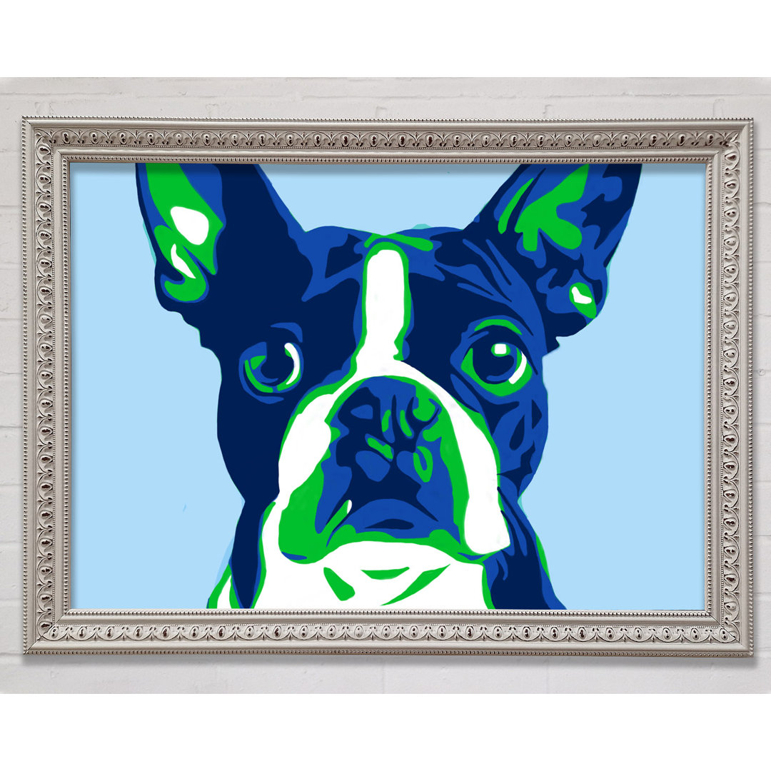 Die Französische Bulldogge Pop Art - Einzelne Bilderrahmen Kunstdrucke