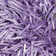 Tapis décoratif mauve tissé à la main Arden