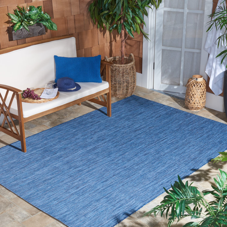 Ephraim Performance Solid Color Indoor/Outdoor Area Rug