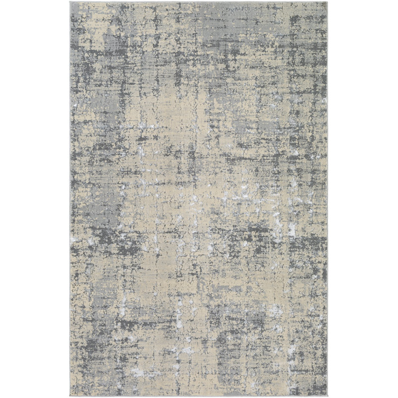 Tapis gris/charbon abstrait Adelaida, Rectangle 5 pi 3 po x 7 pi 3 po