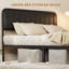 Lit Walsie-1523252359-1523252356