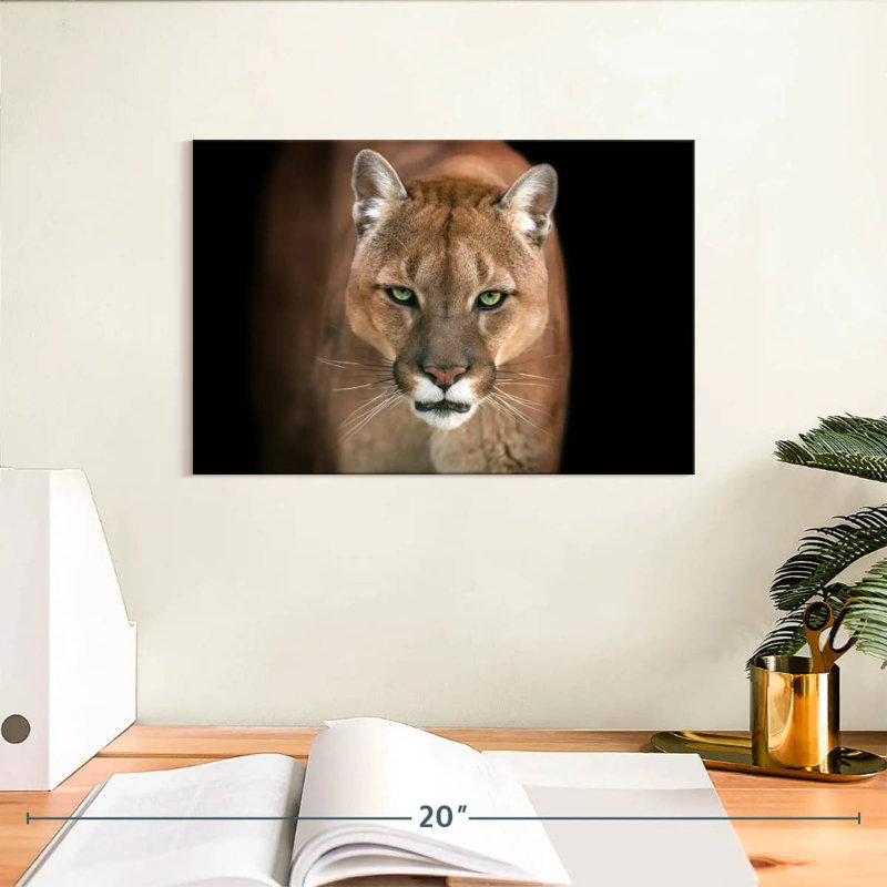 Brampt Fierce Puma, 8" H x 12" W