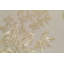 Windsom Floral Area Rug
