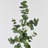 Audet Artificial Eucalyptus Branch(1 Stem)-1750349365