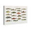 Poisson américain - peinture sur toile-61815335-61815336