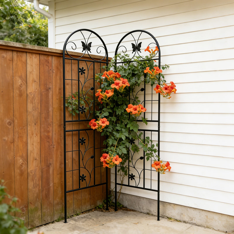 Ensemble de 2 treillis de jardin en métal 71 po x 19,7 po antirouille pour plantes grimpantes
