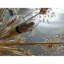 Lustre léger moderne Spoutnik-91756794-91756806-131066356