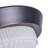 Darryus 2-Light Simple Round Ceiling Lamp