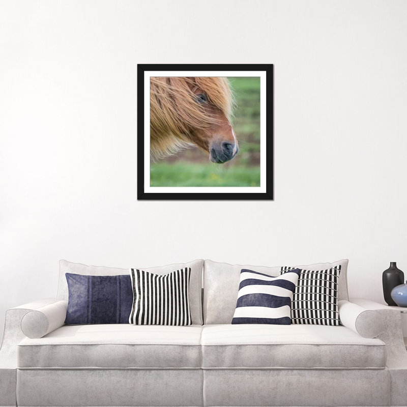 « islandais cheval i », reproduction de photo sur toile tendue, H 24 po x l 24 po x P 1 po, Papier d'art encadré noir, Blanc